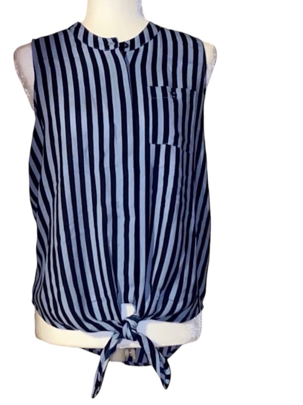 The Limited Summer Striped Top With Front Tie